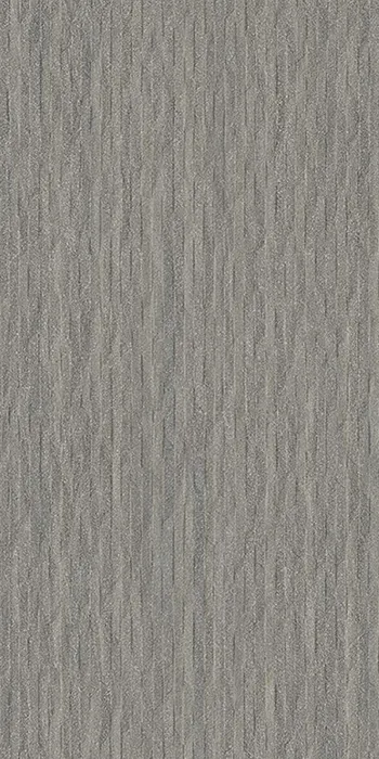 Elegance Pro Mural Dark Grey Naturale 60x120